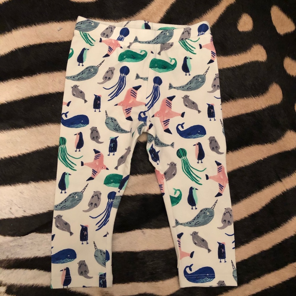 NWT Gymboree Sea Animal Leggings